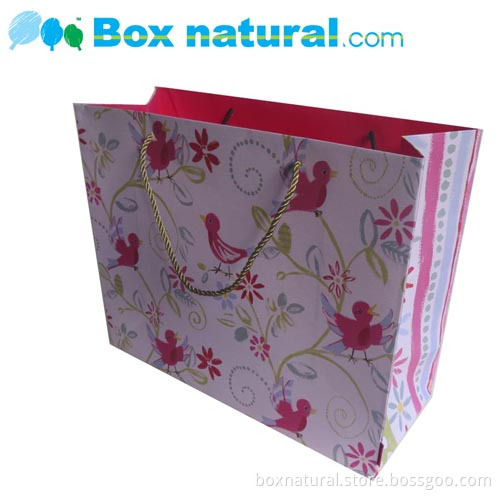 New Designed Paper Bag/ High Quality Recycled Gift Bag
